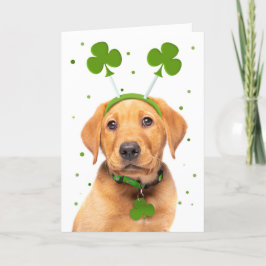 Fijne St. Patricksdag Voor Iedereen Hond in Hoofdb Feestdagen Kaart
