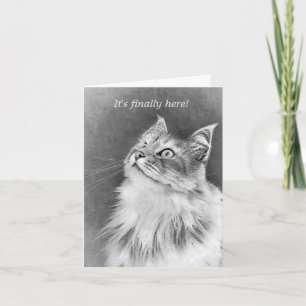 Fijne taartdag! kaart