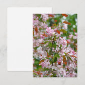 Fijne tak met bloemen appelboom (Voorkant / Achterkant)