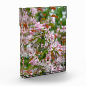 Fijne tak met bloemen appelboom fotoblokken (Links)