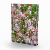 Fijne tak met bloemen appelboom fotoblokken (Rechts)