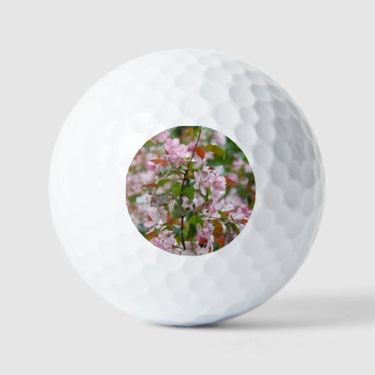 Fijne tak met bloemen appelboom golfballen (Voorkant)