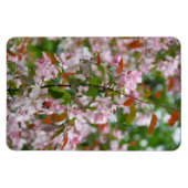 Fijne tak met bloemen appelboom magneet (Horizontaal)