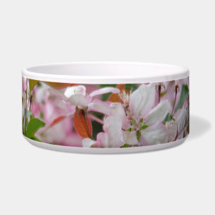 Fijne tak met bloemen appelboom voerbakje