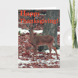 Fijne Thanksgiving Feestdagen Kaart