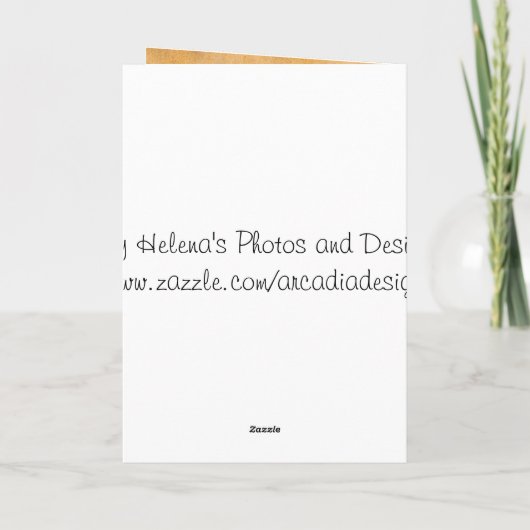 Fijne Thanksgiving Kaart met poezen en pompoenen (Achterkant)