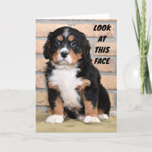 "FIJNE THANKSGIVING", ZEGT SAD DOT KAART