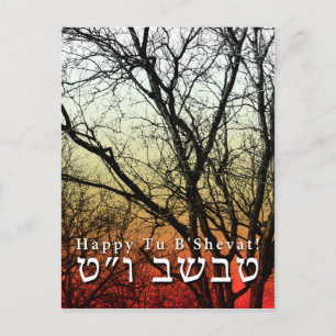 Fijne Tu B'Shevat! : joodse Arbor Day Briefkaart