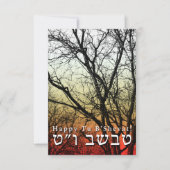 Fijne Tu B'Shevat! : joodse Arbor Day Kaart (Voorkant)