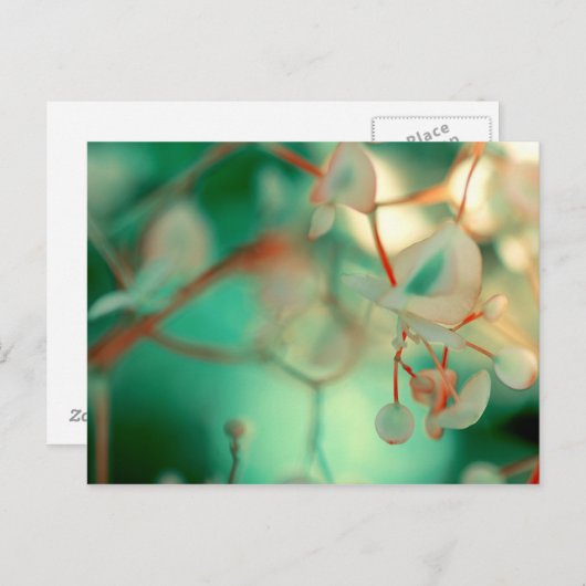 Fijne val briefkaart (Voorkant / Achterkant)