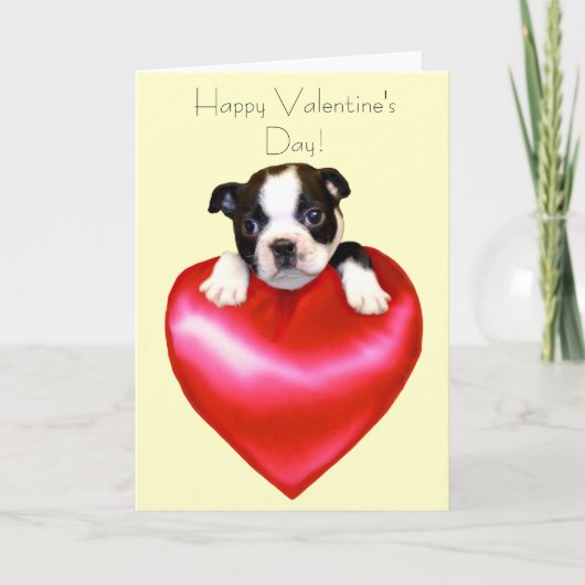 Fijne Valentijnsdag Boston Terrier Kaart (Voorkant)