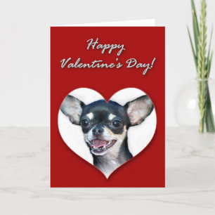 Fijne Valentijnsdag Chihuahua Feestdagen Kaart