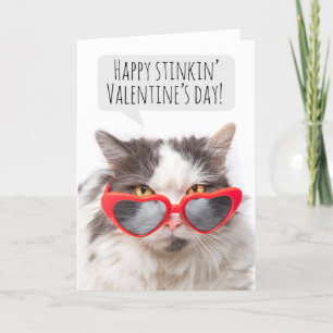 Fijne Valentijnsdag Funny Sarcastic Cat Feestdagen Kaart