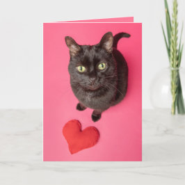 Fijne Valentijnsdag grappige kat met Speelgoed har Feestdagen Kaart