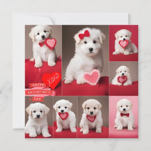 Fijne Valentijnsdag Honden  Feestdagenkaart (Voorkant)