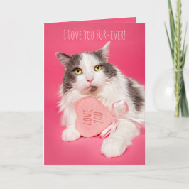 Fijne Valentijnsdag Ik hou van je FurEver Cat Feestdagen Kaart