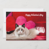 Fijne Valentijnsdag kat-platte kaart (Voorkant)