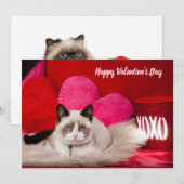 Fijne Valentijnsdag kat-platte kaart (Voorkant / Achterkant)