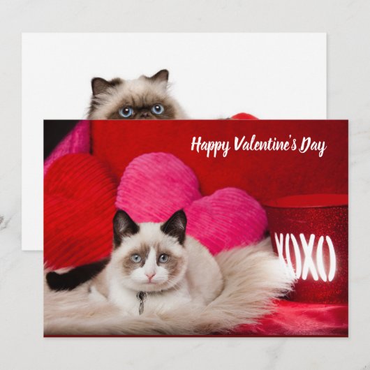 Fijne Valentijnsdag kat-platte kaart (Voorkant / Achterkant)