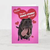 Fijne Valentijnsdag kleinzoon Funny Dog Humor Feestdagen Kaart (Voorkant)