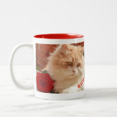 Fijne Valentijnsdag Mokken (Links)