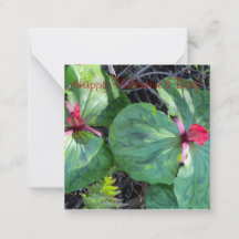 Fijne Valentijnsdag!