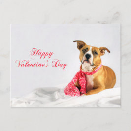 Fijne Valentijnsdag Pitbull Puppy Feestdagenkaart