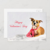 Fijne Valentijnsdag Pitbull Puppy Feestdagenkaart (Voorkant / Achterkant)