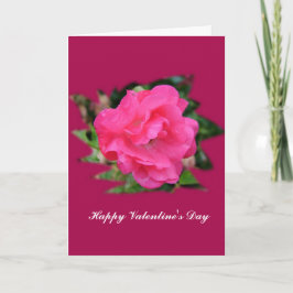 Fijne Valentijnsdag. Roze roos bloem foto art. Feestdagen Kaart