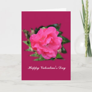 Fijne Valentijnsdag. Roze roos bloem foto art. Feestdagen Kaart