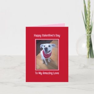 Fijne Valentijnsdag Schattige Hond Lachend Rood Feestdagen Kaart