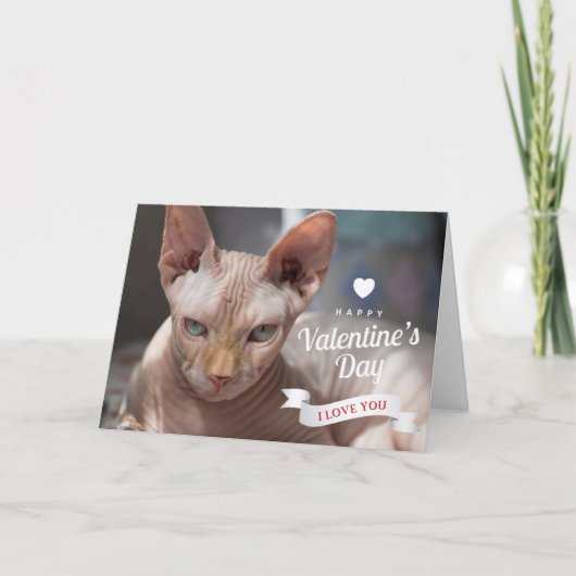Fijne Valentijnsdag | Sphynx haarloze kat Kaart (Voorkant)