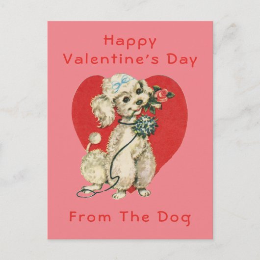 Fijne Valentijnsdag van de hond Briefkaart (Voorkant)