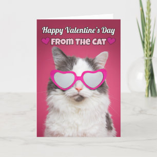 Fijne Valentijnsdag van de kat-Humor Feestdagen Kaart