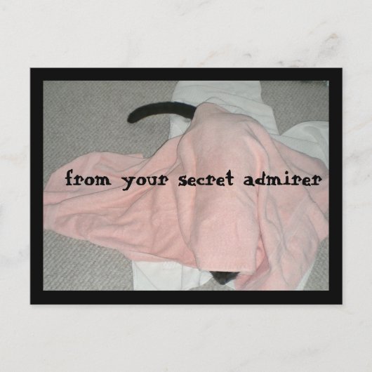 Fijne Valentijnsdag van de Pet Feestdagenkaart (Voorkant)