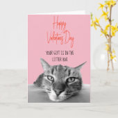 Fijne Valentijnsdag van kat tot menselijke grappig Kaart (Gele Bloem)