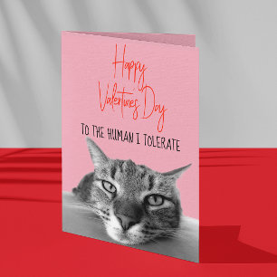 Fijne Valentijnsdag van kat tot menselijke grappig Kaart
