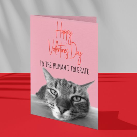 Fijne Valentijnsdag van kat tot menselijke grappig Kaart