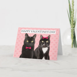 Fijne valentijnsdag voor een paar twee katten Humo Feestdagen Kaart