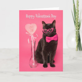 Fijne Valentijnsdag voor iedereen die kletskat in  Feestdagen Kaart