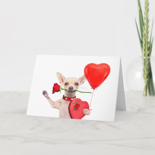 Fijne Valentijnskaart Cute Chihuahua Met Roos Kaart (Voorkant)
