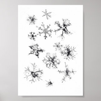 Fijne vallende sneeuwvlokken poster