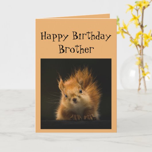 Fijne verjaardag Broeder Funny Go Nuts! Kaart (Gele Bloem)