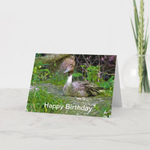 Fijne verjaardag, Duck ,Wenskaart Kaart