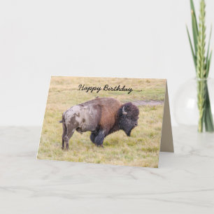 Fijne verjaardag, Dusty Bison Bull Humor Kaart