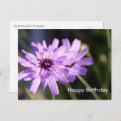 Fijne verjaardag, elegante paarse dagbloem briefkaart (Voorkant / Achterkant)