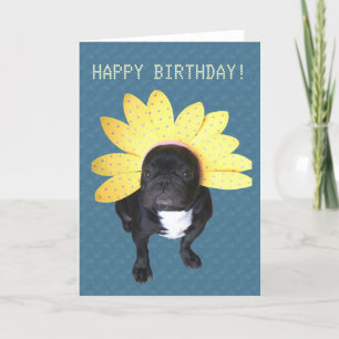 Fijne verjaardag Franse Bulldog Flower Kaart