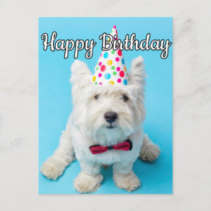 Fijne Verjaardag Gewenst Briefkaart