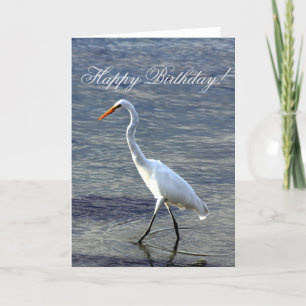 Fijne verjaardag Great Egret Bird wenskaart Bedankkaart