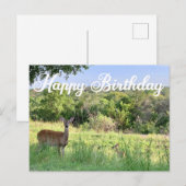 Fijne Verjaardag Hert Fotografie Mooie Natuur Briefkaart (Voorkant / Achterkant)